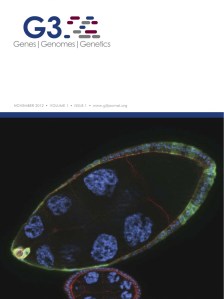 G3 Cover November 2012 (Aranjuez et al.)